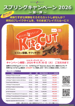 【アクティブ・モティフ】スプリングキャンペーン 2026 ～第一弾～